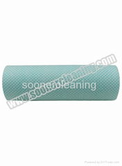 Woodpulp Nonwoven Polyester Spunlace