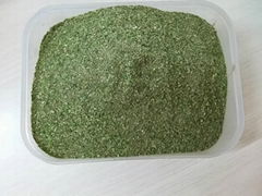 ORGANIC GREEN SEAWEED FOR ANIMAL FEED & FERTILIZER