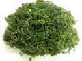 ORGANIC GREEN SEAWEED FOR ANIMAL FEED & FERTILIZER 2