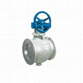 Eccentric segment ball valve  1