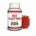 Function Red Yeast Rice 2