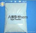 Health supplier--agar powder 1