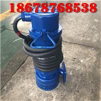 厂用潜水泵WQB15-22-2.2山东天然气项目施工用整机防漏防爆排污泵 2