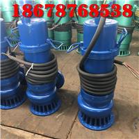 廠用潛水泵WQB15-22-2.2山東天然氣項目施工用整機防漏防爆排污泵 3