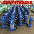 厂家供应潜水泵WQB潜水泵 泵配件 3