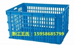 杭州塑料筐價格