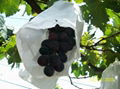 paper bag grape protection grape fruit protection bag  2