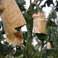 UV resistant paper banana bag /Paper Banana Grow Bag 