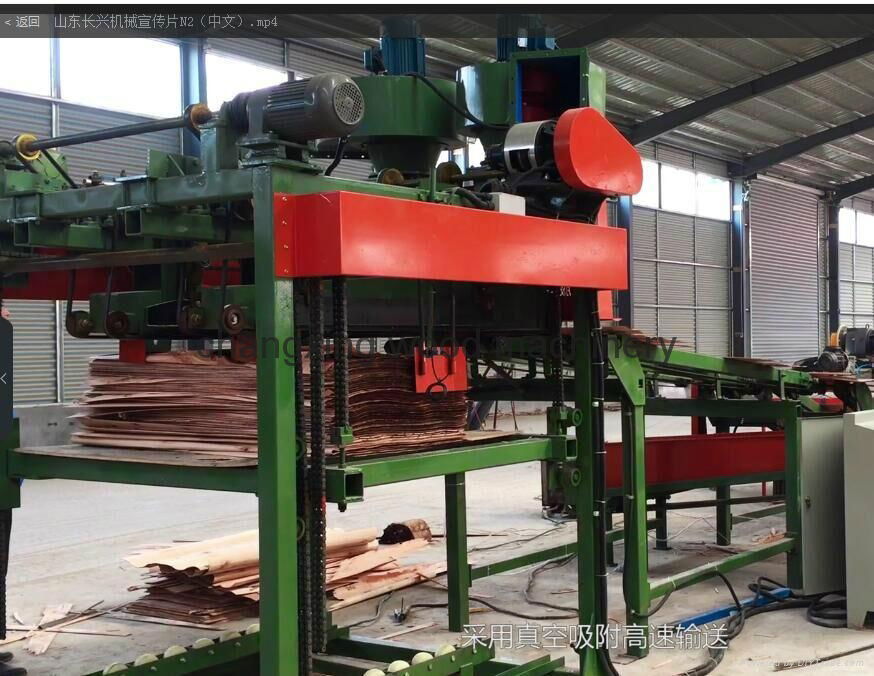 Automatic Core Rotary Veneer Sorting and Stacking Machine  for Plywood 3