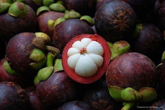 Mangosteen