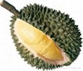 Durian   Monthong