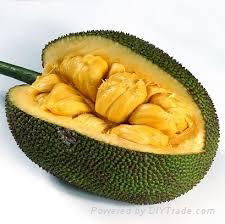 Jackfruit