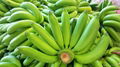 Fresh Cavendish Banana