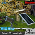 New arrival high quality low voltage CE RoHS solar laser light for garden 5