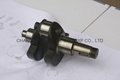 Competitive Price S1110 Diesel Engine Crankshaft Spare Parts 4