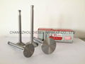 DIESEL ENGINE PARTS ENGINE VALVE 1