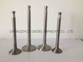 DIESEL ENGINE PARTS ENGINE VALVE 2