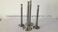 DIESEL ENGINE PARTS ENGINE VALVE 3