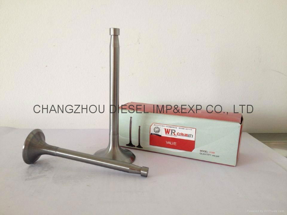 DIESEL ENGINE PARTS ENGINE VALVE 4