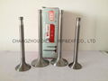 DIESEL ENGINE PARTS ENGINE VALVE 5