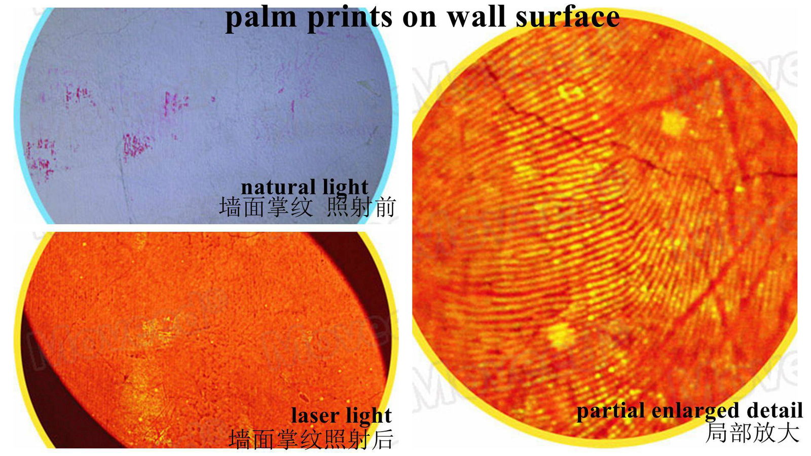 Forensic Laser & Alternate Light Source Equipment  3