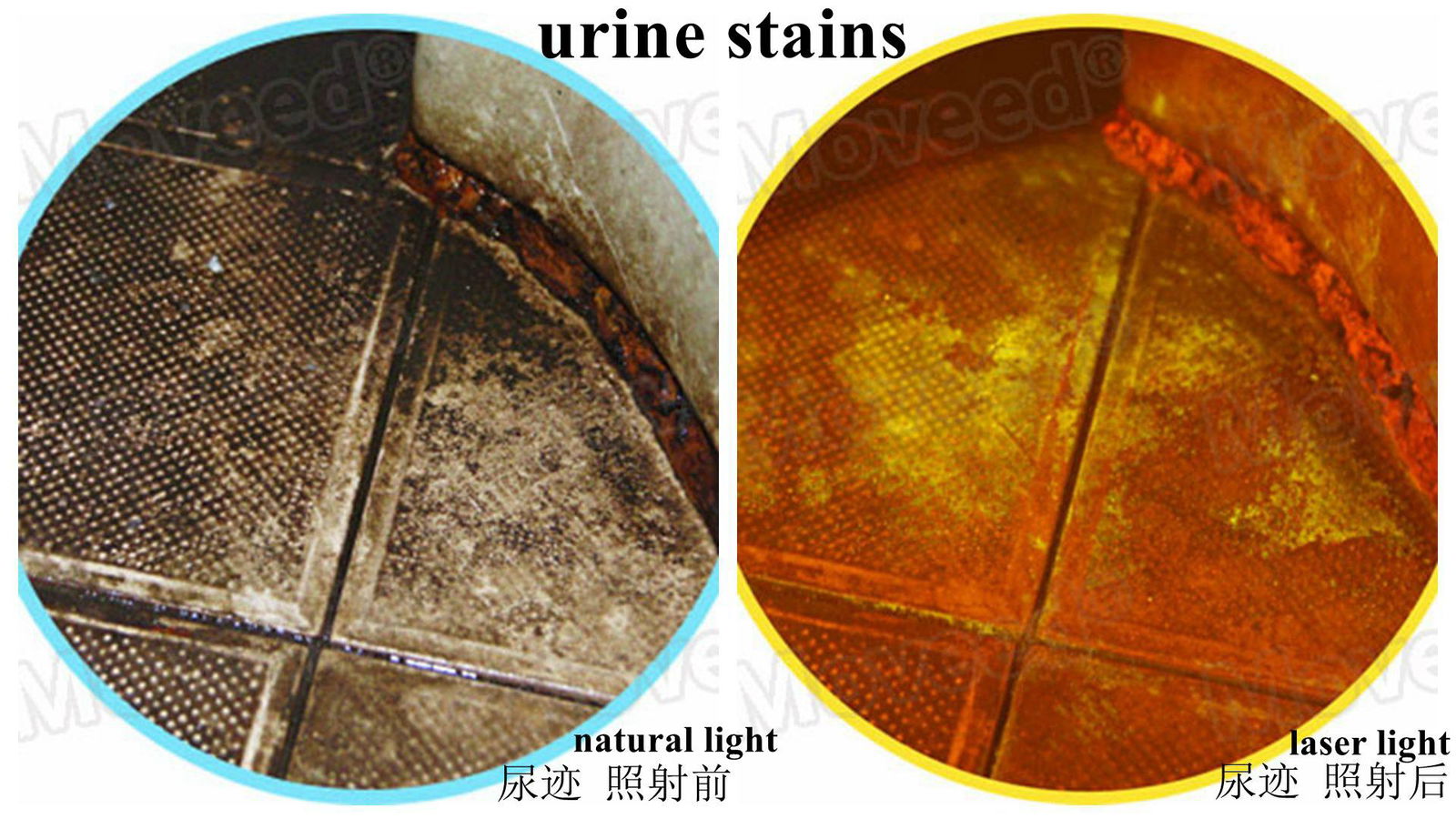 Forensic Laser & Alternate Light Source Equipment  4