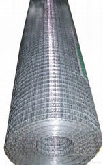 High quality stainless steel Welded wire mesh