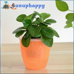 Factory directly custom plastic self-watering flowerpot