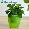 Factory directly custom plastic self-watering flowerpot  4