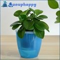 Factory directly custom plastic self-watering flowerpot  5