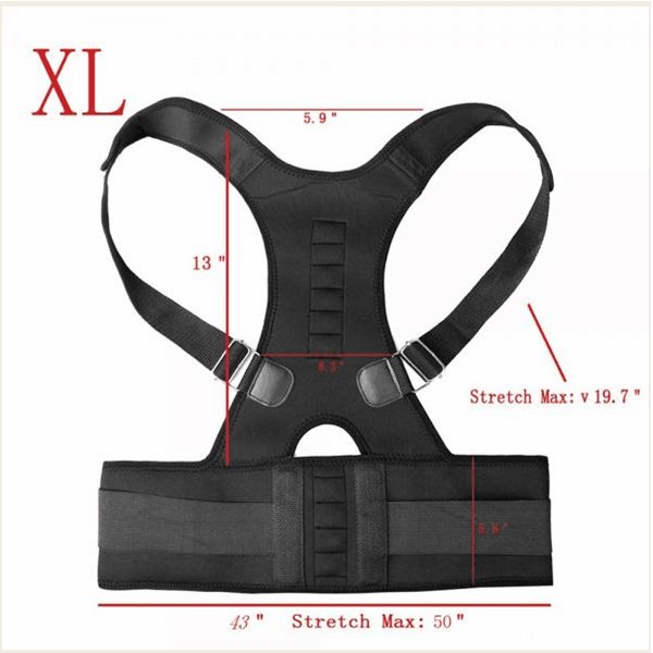 Hot sale back support from Shijiazhuang Aofit 2