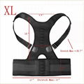 Hot sale back support from Shijiazhuang Aofit 2