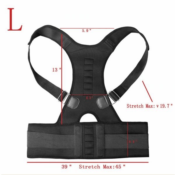 Hot sale back support from Shijiazhuang Aofit 3