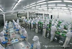 深圳市浩新科技服务有限公司