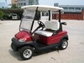 48V  2 seater electric golf cart 4