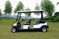 4 seater cheap golf cart for sale