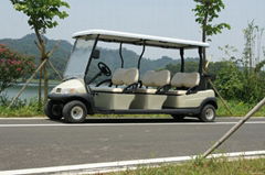 CE approved 6 seater electric golf cart