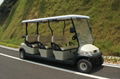CE approved 6 seater electric golf cart 3