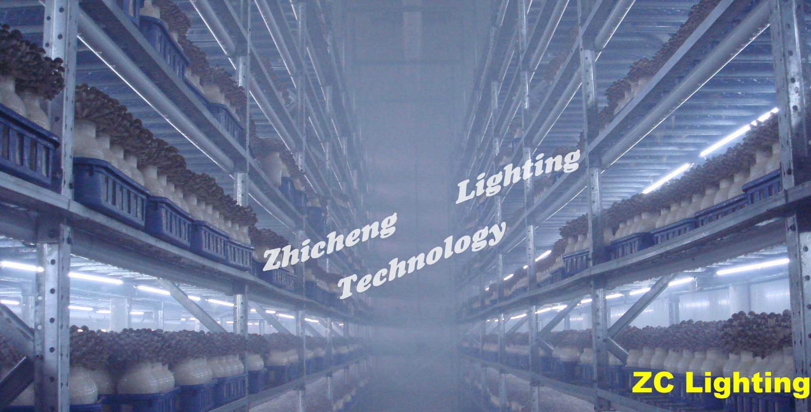 Zhicheng V shape LED mushroom grow light 3