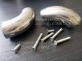 STAINLESS STEEL ELBOWS AND BOLTS from Leo Metals Limited 2