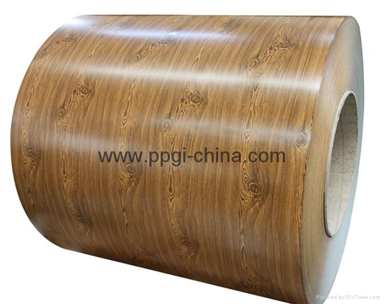 wood pattern ppgi 4