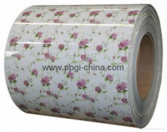 Pre-painted Wooden PPGI Steel Coil