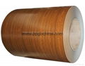 Color ppgi pre painted coil manufacturer from china 3