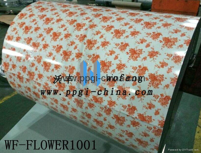 Hot sell! China color coating stainless steel sheet for ceiling 4