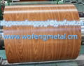  wood grain printed PPGI  PPGL steel in coil for building material 4