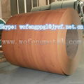 China suppliers color coated galvanized