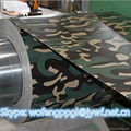 High quality camouflage army grain color coated PPGI 5