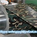 Marble  PVC laminated film  army brick  Wood pattern color coated steel coi 3