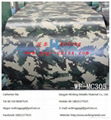 Color coated roof design PPGI/PPGL metal