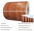 PPGI PPGL prepainted galvanized steel coil for building material